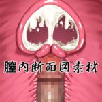 膣内断面図素材 膣内断面図素材