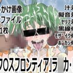 「マク〇スフロンティア」ラ〇カ・リー 「マク〇スフロンティア」ラ〇カ・リー