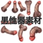 男性器素材 男性器素材