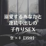 溺愛するあなたと連続中出しの子作りSEX 溺愛するあなたと連続中出しの子作りSEX