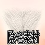 陰毛素材 陰毛素材