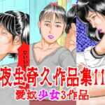 夜生奇久作品集11 愛奴少女3作品 夜生奇久作品集11 愛奴少女3作品