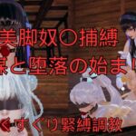 美脚奴〇捕縛 陰謀と堕落の始まり 美脚奴〇捕縛 陰謀と堕落の始まり