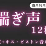 音声素材【喘ぎ声・ピストン・キス】 音声素材【喘ぎ声・ピストン・キス】