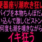 【便所座り潮吹き狂い】バイブを本物ちんぽだと思い込んで激しくピストンし、何度も潮を噴きながらイキ狂う 【便所座り潮吹き狂い】バイブを本物ちんぽだと思い込んで激しくピストンし、何度も潮を噴きながらイキ狂う