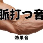 《効果音》脈打つ音 《効果音》脈打つ音