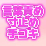ドS幼馴染の手コキに耐えたら中出しセックスしてあげるって言われたのに我慢できず射精しちゃう♡ ドS幼馴染の手コキに耐えたら中出しセックスしてあげるって言われたのに我慢できず射精しちゃう♡