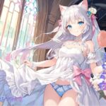 ゆきなの結婚前夜 ゆきなの結婚前夜