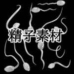 精子素材 精子素材