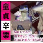 【合計4本】 鰐ワニの獣人クロクシゴールちゃんが童貞奪ってイチャラブ編の大ボリューム 【合計4本】 鰐ワニの獣人クロクシゴールちゃんが童貞奪ってイチャラブ編の大ボリューム