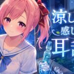 【超耳舐め特化】涼しさを感じる耳舐め【安眠ASMR】 【超耳舐め特化】涼しさを感じる耳舐め【安眠ASMR】