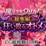 魔法少女りりか総集編狂い散るオトメ 魔法少女りりか総集編狂い散るオトメ