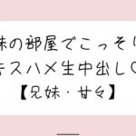 両親が寝てる夜中に妹とこっそり中出しセックス 両親が寝てる夜中に妹とこっそり中出しセックス