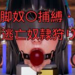 美脚奴〇捕縛・続 逃亡奴○狩り 美脚奴〇捕縛・続 逃亡奴○狩り