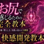 アナルオナニーで気持ちよくなるための準備から実践・絶頂まで 全てを網羅したケツイキ教本 この世で最も気持ちいいケツイキのやり方 アナルオナニーで気持ちよくなるための準備から実践・絶頂まで 全てを網羅したケツイキ教本 この世で最も気持ちいいケツイキのやり方