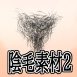 陰毛素材2 陰毛素材2