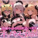 【三人同時責め】熟睡中のあなたを夜○いで○すサキュバス三姉妹。優しい長女・甘々次女・元気な三女に一晩中何度も中出しをねだられ、精液を最後の一滴まで搾り尽くされる 【三人同時責め】熟睡中のあなたを夜○いで○すサキュバス三姉妹。優しい長女・甘々次女・元気な三女に一晩中何度も中出しをねだられ、精液を最後の一滴まで搾り尽くされる