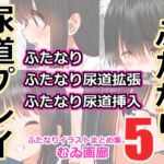 むゐ画廊ふたなりイラストまとめ集(5) むゐ画廊ふたなりイラストまとめ集(5)