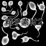 精子素材2 精子素材2
