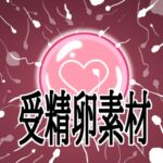 受精卵素材 受精卵素材