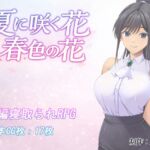 夏に咲く花 春色の花 夏に咲く花 春色の花