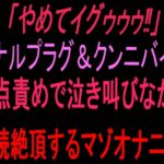 「やめてイグゥゥゥ‼︎」アナルプラグ&クンニバイブ二点責めで泣き叫びながら連続絶頂するマゾオナニー‼︎ 「やめてイグゥゥゥ‼︎」アナルプラグ&クンニバイブ二点責めで泣き叫びながら連続絶頂するマゾオナニー‼︎
