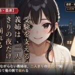 【義姉×義弟】受験を支える義姉は、二人きりの夜だけ崩れる 【義姉×義弟】受験を支える義姉は、二人きりの夜だけ崩れる