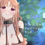 おねえちゃんと せめたりせめられたりする本 おねえちゃんと せめたりせめられたりする本