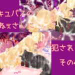 サキュバスのおねぇさんに犯される!その4 サキュバスのおねぇさんに犯される!その4