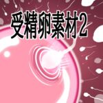 受精卵素材2 受精卵素材2