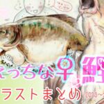 えっちな♀鯉イラストまとめ集 えっちな♀鯉イラストまとめ集