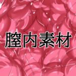 膣内素材 膣内素材
