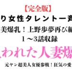 訳あり女性タレント一斉検挙 美爆乳!上野歩夢再び編 完全版 訳あり女性タレント一斉検挙 美爆乳!上野歩夢再び編 完全版