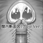 膣内断面図素材(グレーVer.) 膣内断面図素材(グレーVer.)