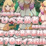 Vol19 音声素材『すけべ女勇者』CV明日見カピ Vol19 音声素材『すけべ女勇者』CV明日見カピ
