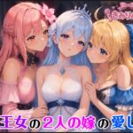 TS王女の2人の嫁の愛し方 TS王女の2人の嫁の愛し方