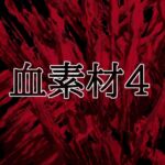 血素材4 血素材4