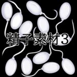 精子素材3 精子素材3