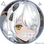 ド〇キナ ド〇キナ