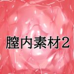 膣内素材2 膣内素材2
