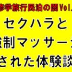 【修学旅行民泊の闇Vol.2】セクハラと強○マッサージされた体験談 【修学旅行民泊の闇Vol.2】セクハラと強○マッサージされた体験談