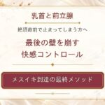 乳首と前立腺 絶頂直前で止まってしまう方へ 最後の壁を崩す快感コントロール メスイキ到達の最終メソッド 乳首と前立腺 絶頂直前で止まってしまう方へ 最後の壁を崩す快感コントロール メスイキ到達の最終メソッド