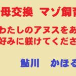美母交換 マゾ飼育 美母交換 マゾ飼育