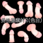 男性器素材2(色白) 男性器素材2(色白)