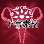 子宮素材 子宮素材