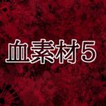 血素材5 血素材5