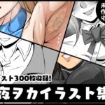 夜ヲカイラスト集 夜ヲカイラスト集